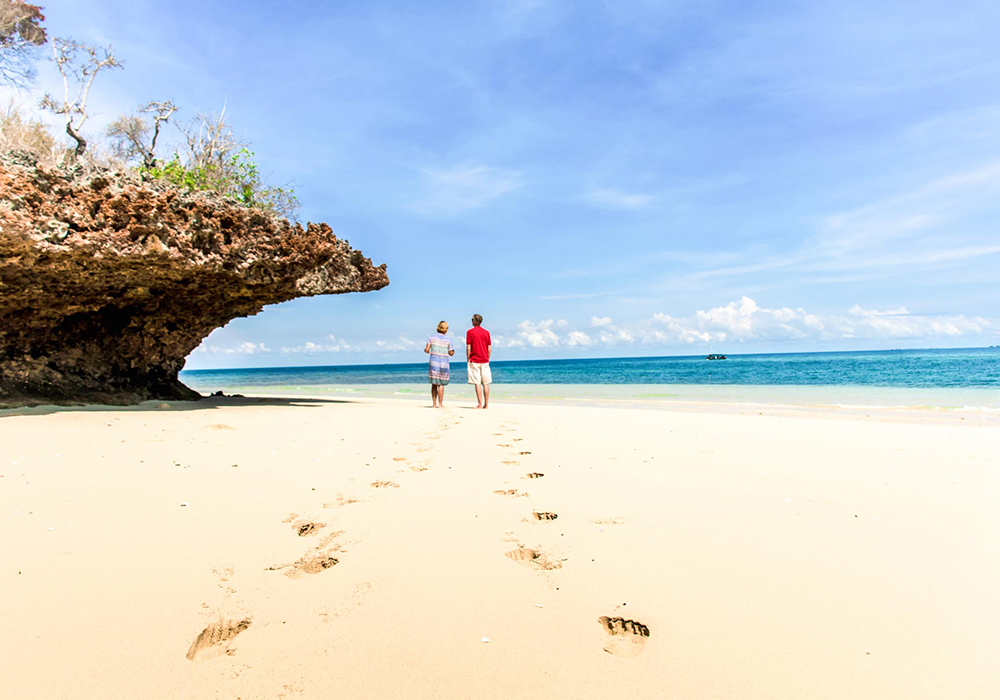 Safari Blue Sea Adventure