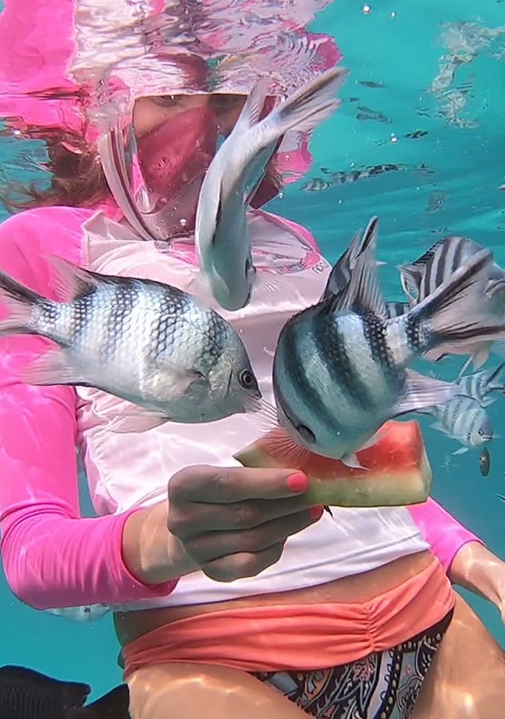 Diving and Snorkeling in Zanzibar