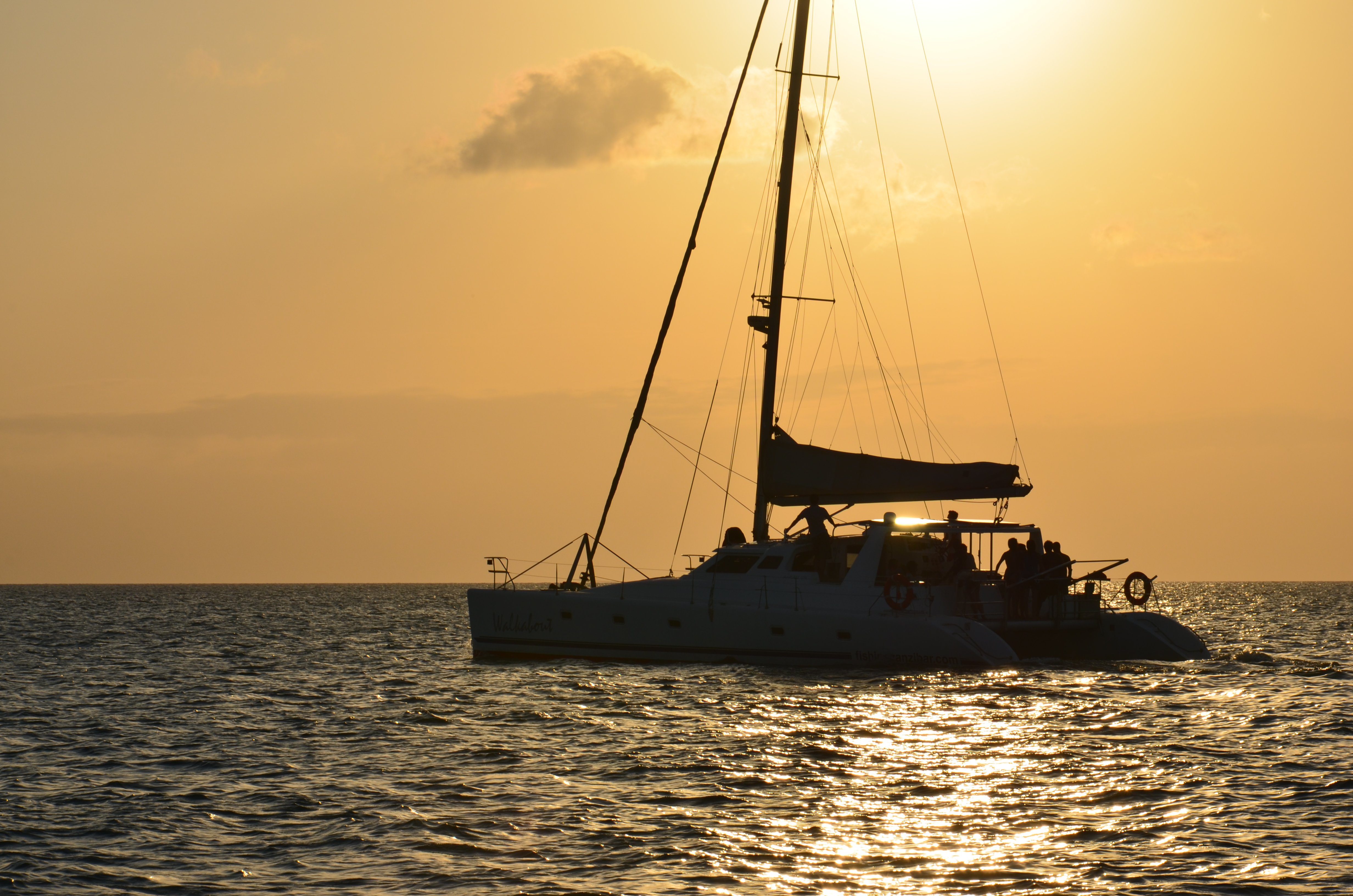 Catamaran Trip